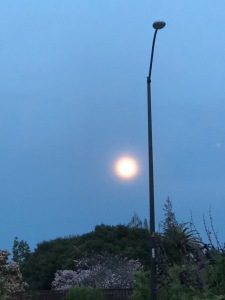 Random light pole against the sun.